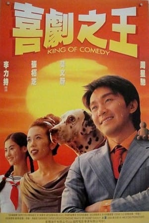 关于我